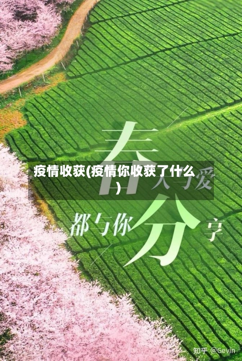 疫情收获(疫情你收获了什么)-第1张图片