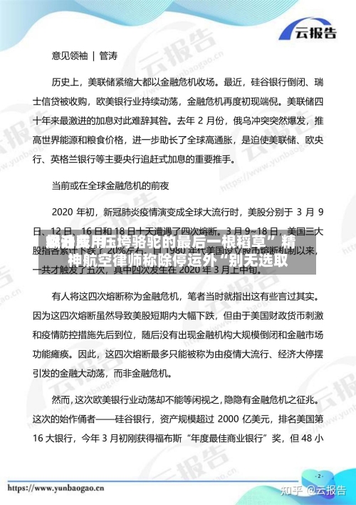 燃油费用飙升成“压垮骆驼的最后一根稻草	” 精神航空律师称除停运外“别无选取”-第1张图片