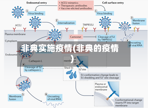 非典实施疫情(非典的疫情)-第1张图片
