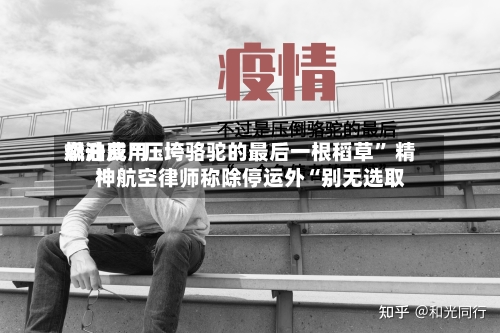 燃油费用飙升成“压垮骆驼的最后一根稻草” 精神航空律师称除停运外“别无选取”-第1张图片