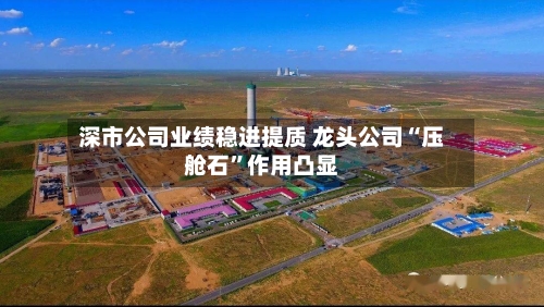 深市公司业绩稳进提质 龙头公司“压舱石”作用凸显-第1张图片