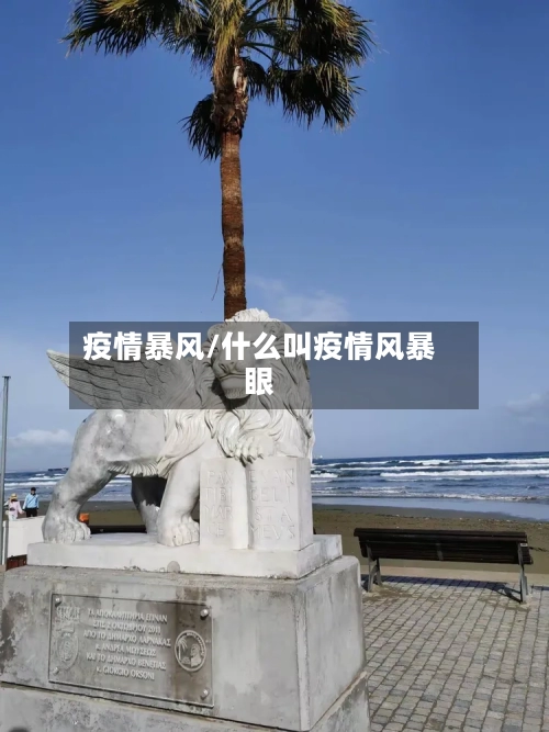 疫情暴风/什么叫疫情风暴眼-第1张图片