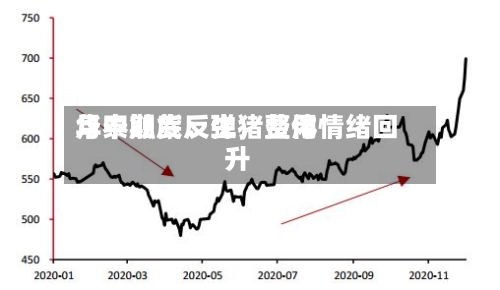 华泰期货：生猪费用月中触底反弹，整体情绪回升-第2张图片