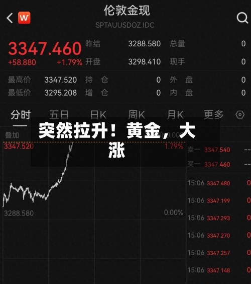 突然拉升！黄金，大涨-第1张图片