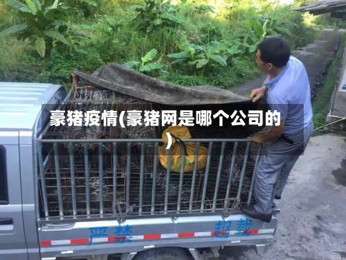 豪猪疫情(豪猪网是哪个公司的)-第2张图片