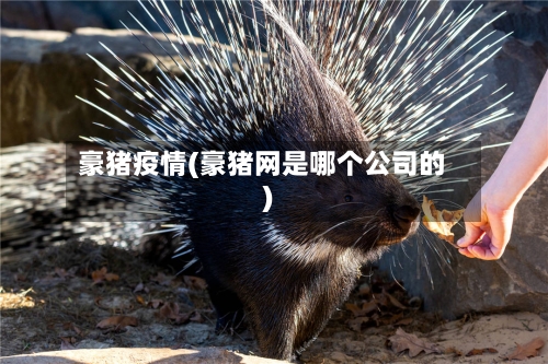 豪猪疫情(豪猪网是哪个公司的)-第3张图片