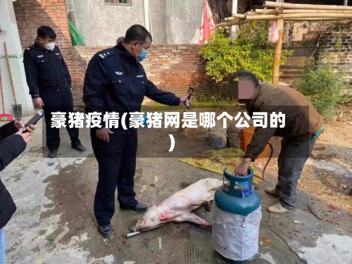 豪猪疫情(豪猪网是哪个公司的)-第1张图片