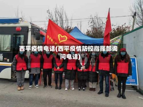 西平疫情电话(西平疫情防控指挥部询问电话)-第1张图片