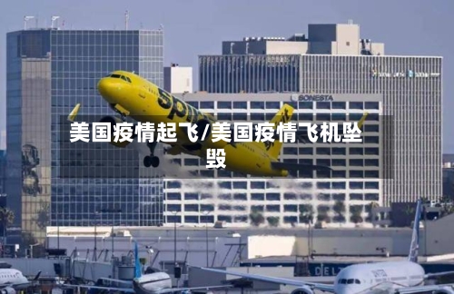 美国疫情起飞/美国疫情飞机坠毁-第1张图片