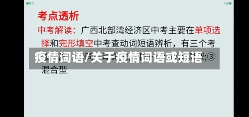 疫情词语/关于疫情词语或短语-第2张图片