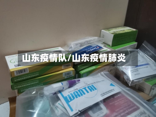 山东疫情队/山东疫情肺炎-第2张图片