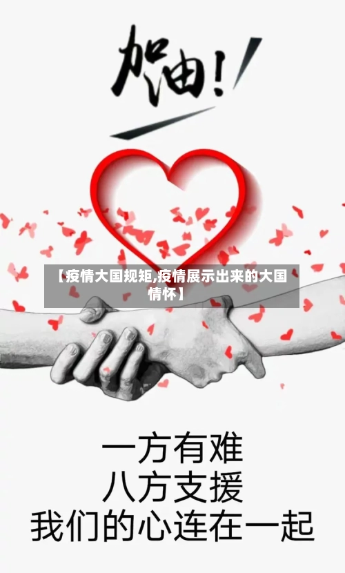 【疫情大国规矩,疫情展示出来的大国情怀】-第1张图片