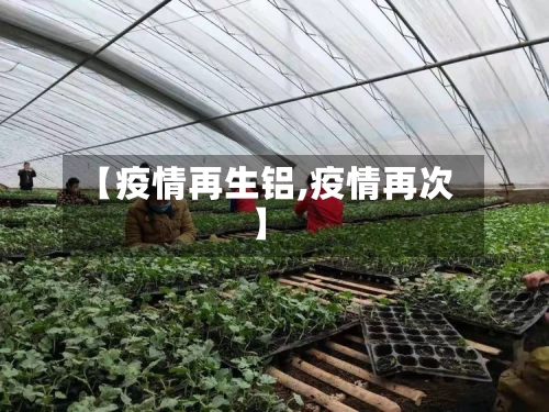 【疫情再生铝,疫情再次】-第1张图片