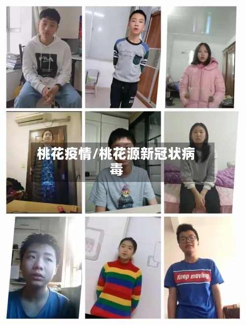 桃花疫情/桃花源新冠状病毒-第1张图片