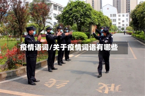疫情语词/关于疫情词语有哪些-第2张图片