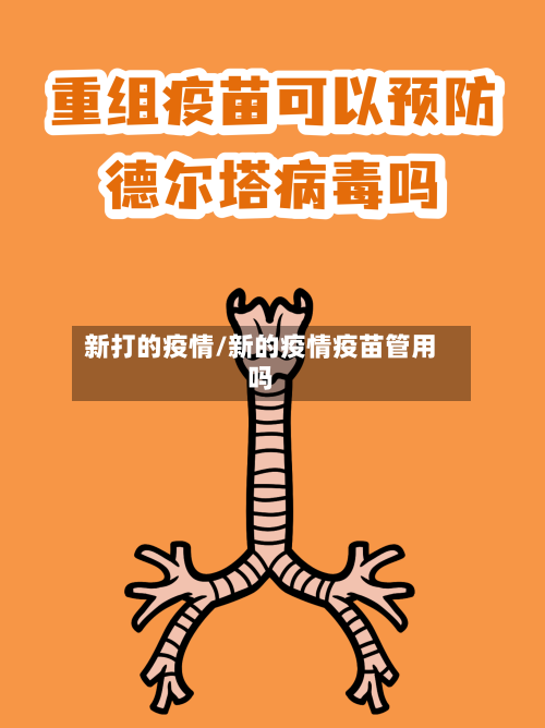 新打的疫情/新的疫情疫苗管用吗-第2张图片