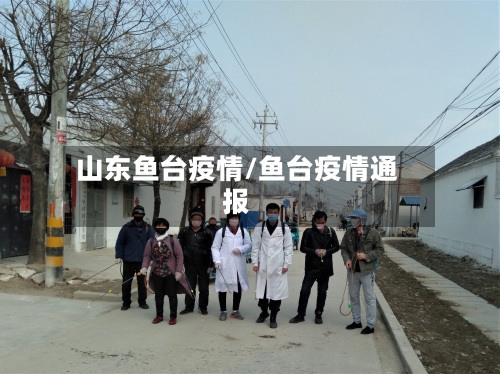 山东鱼台疫情/鱼台疫情通报-第2张图片