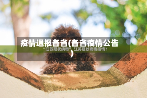 疫情通报各省(各省疫情公告)-第2张图片