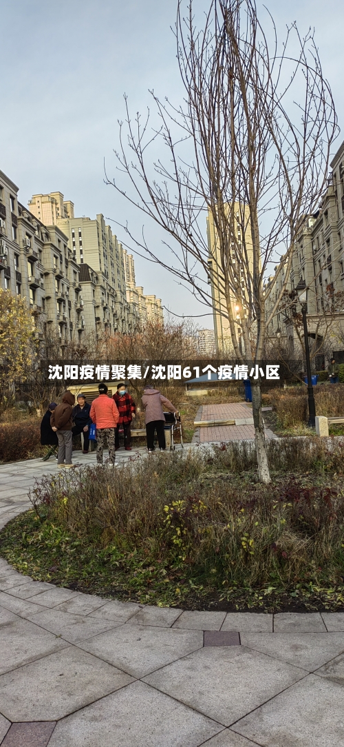 沈阳疫情聚集/沈阳61个疫情小区-第2张图片