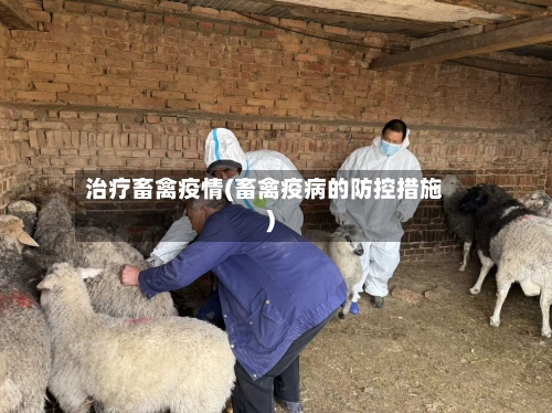 治疗畜禽疫情(畜禽疫病的防控措施)-第1张图片