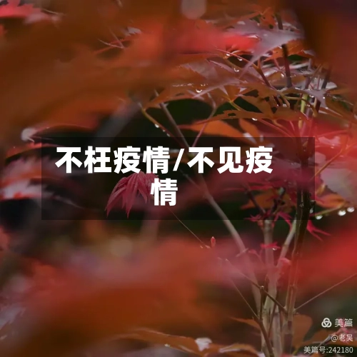 不枉疫情/不见疫情-第2张图片