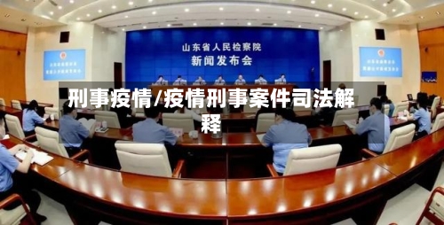 刑事疫情/疫情刑事案件司法解释-第1张图片