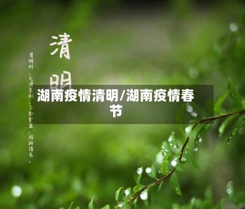 湖南疫情清明/湖南疫情春节-第1张图片