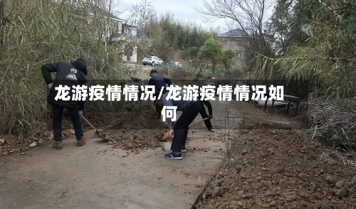 龙游疫情情况/龙游疫情情况如何-第1张图片