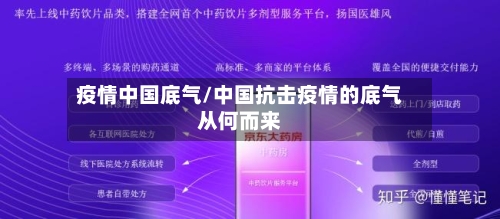 疫情中国底气/中国抗击疫情的底气从何而来-第2张图片