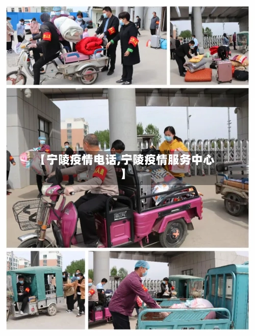 【宁陵疫情电话,宁陵疫情服务中心】-第2张图片