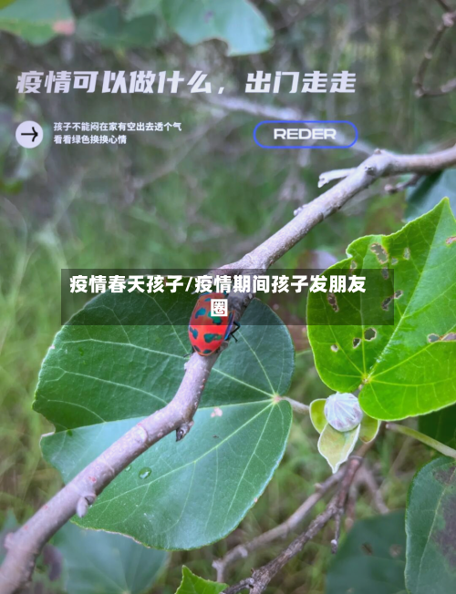 疫情春天孩子/疫情期间孩子发朋友圈-第1张图片