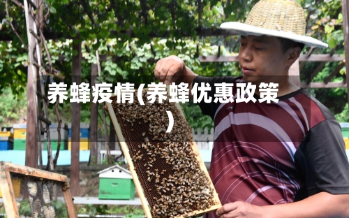 养蜂疫情(养蜂优惠政策)-第2张图片