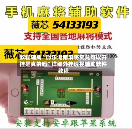 教程辅助“微乐湖南麻将究竟可以开挂是真的吗	”详细外挂透视辅助软件教程-第3张图片
