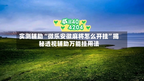实测辅助“微乐安徽麻将怎么开挂”揭秘透视辅助万能挂用法-第1张图片