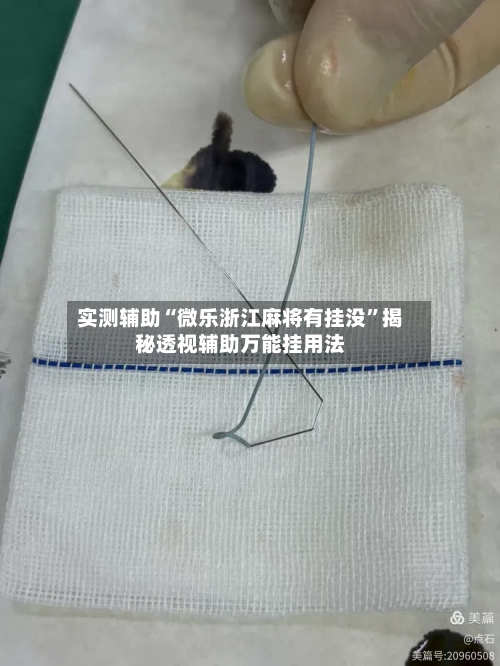 实测辅助“微乐浙江麻将有挂没”揭秘透视辅助万能挂用法-第3张图片