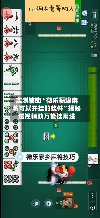 实测辅助“微乐福建麻将可以开挂的软件”揭秘透视辅助万能挂用法-第1张图片
