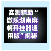 实测辅助“微乐湖南麻将开挂器通用版”揭秘透视辅助万能挂用法-第2张图片