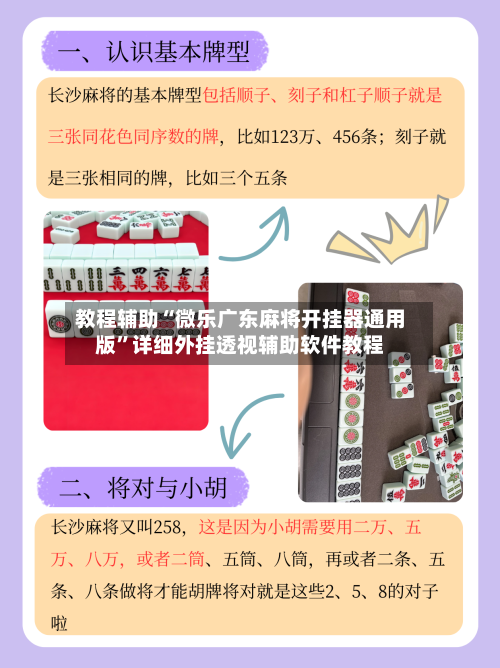 教程辅助“微乐广东麻将开挂器通用版”详细外挂透视辅助软件教程-第2张图片