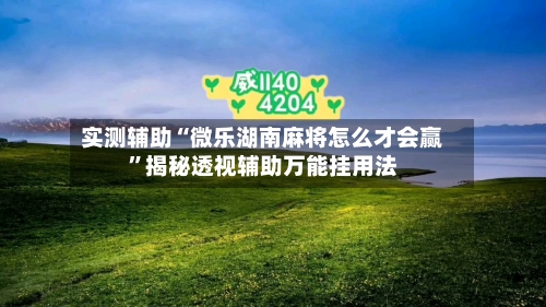 实测辅助“微乐湖南麻将怎么才会赢”揭秘透视辅助万能挂用法-第2张图片