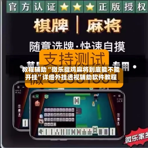 教程辅助“微乐捉鸡麻将到底能不能开挂	”详细外挂透视辅助软件教程-第2张图片