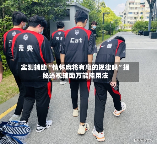 实测辅助“情怀麻将有赢的规律吗	”揭秘透视辅助万能挂用法-第2张图片