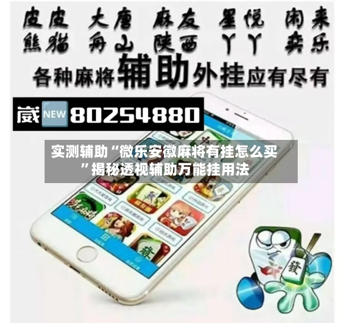 实测辅助“微乐安徽麻将有挂怎么买”揭秘透视辅助万能挂用法-第2张图片