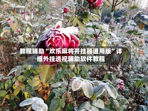 教程辅助“欢乐麻将开挂器通用版	”详细外挂透视辅助软件教程-第1张图片