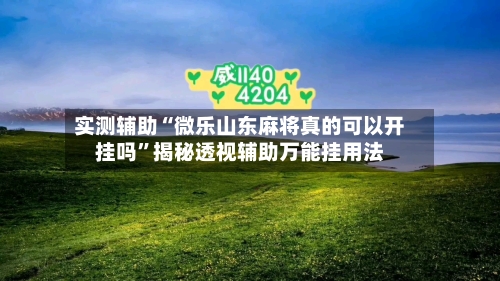 实测辅助“微乐山东麻将真的可以开挂吗	”揭秘透视辅助万能挂用法-第1张图片