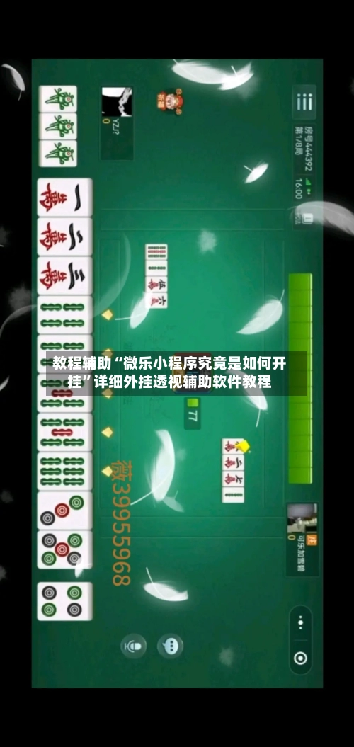 教程辅助“微乐小程序究竟是如何开挂”详细外挂透视辅助软件教程-第3张图片