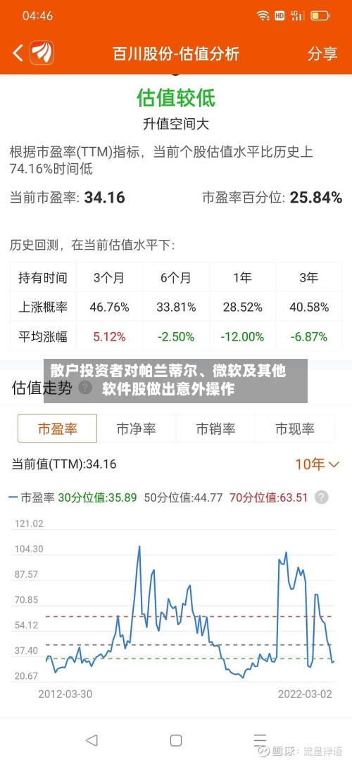 散户投资者对帕兰蒂尔、微软及其他软件股做出意外操作-第2张图片