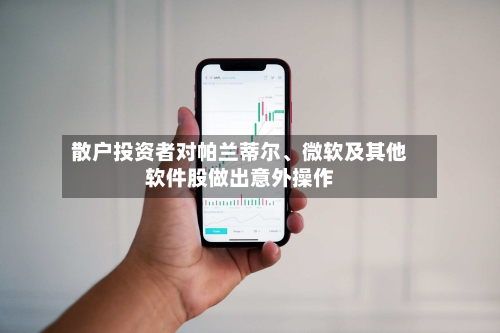散户投资者对帕兰蒂尔	、微软及其他软件股做出意外操作-第1张图片