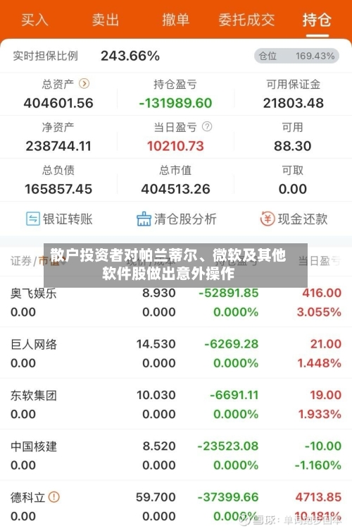 散户投资者对帕兰蒂尔	、微软及其他软件股做出意外操作-第3张图片