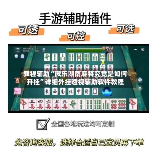 教程辅助“微乐湖南麻将究竟是如何开挂”详细外挂透视辅助软件教程-第2张图片