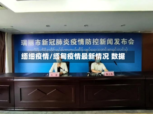 缅细疫情/缅甸疫情最新情况 数据-第3张图片
